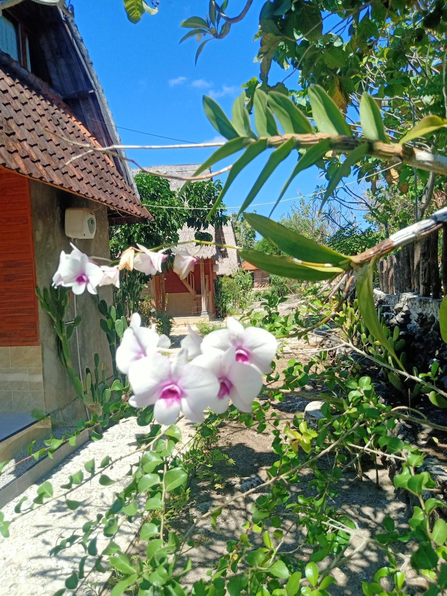 Batununggul The Somayan Bungalows מראה חיצוני תמונה